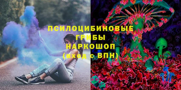 дурь Богородск