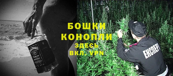 сатива Богородицк