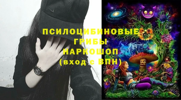 сатива Богородицк