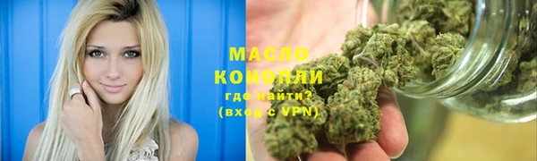 молекула духа Богданович