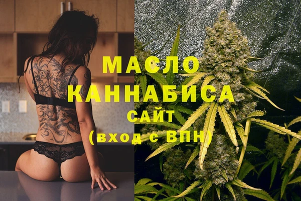 молекула духа Богданович
