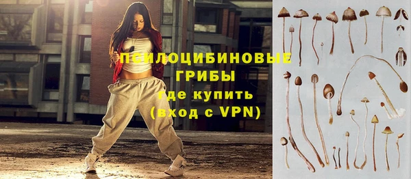 молекула духа Богданович