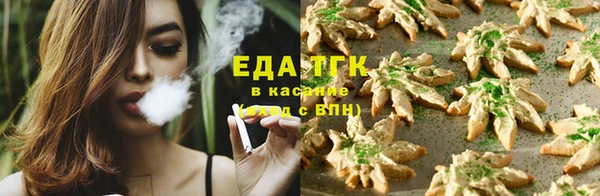 молекула духа Богданович