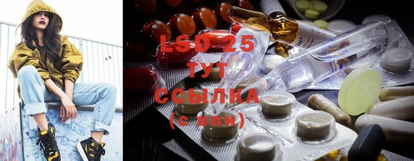 молекула духа Богданович
