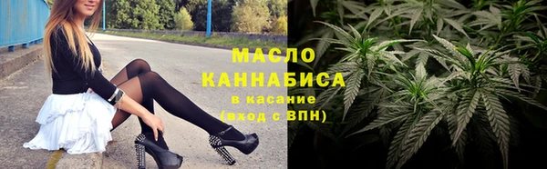молекула духа Богданович